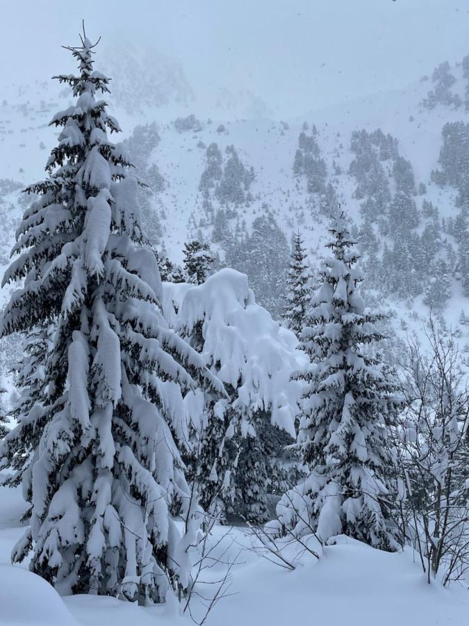 Spacious Ski-In Ski-Out Apartment 4-6 Pax, 161 Sources De Marie Arc 1950 Les Arcs  المظهر الخارجي الصورة